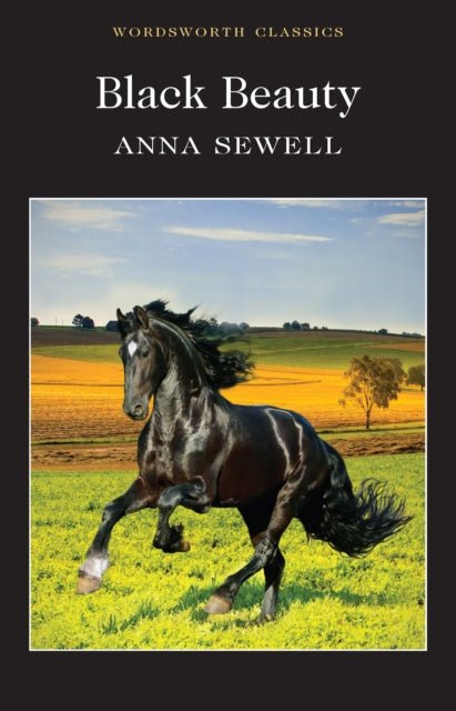 Black Beauty by Anna Sewell - Looking Glass Books -